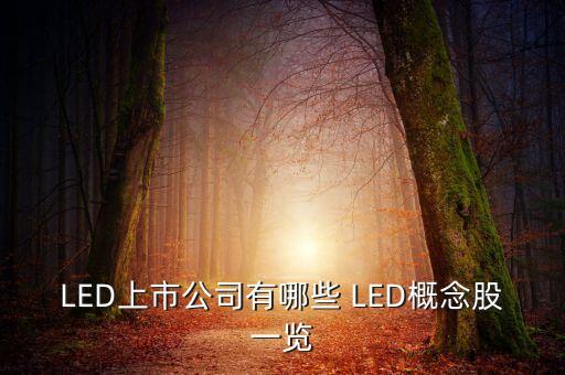 上市公司鴻什么視訊，視訊行業(yè)有哪些公司