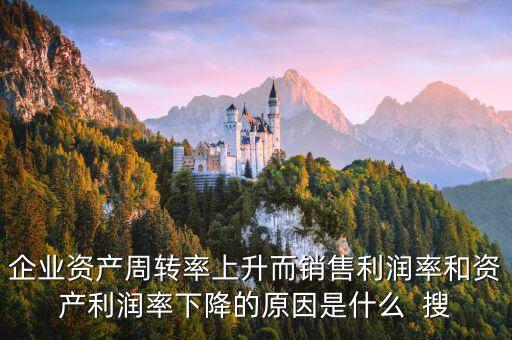 企業(yè)總資產(chǎn)收益率為什么一直下降，企業(yè)資產(chǎn)周轉(zhuǎn)率上升而銷售利潤(rùn)率和資產(chǎn)利潤(rùn)率下降的原因是什么  搜
