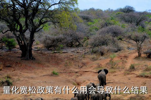 量化寬松政策有什么用會(huì)導(dǎo)致什么結(jié)果