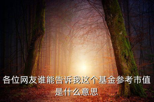 各位網(wǎng)友誰能告訴我這個基金參考市值是什么意思