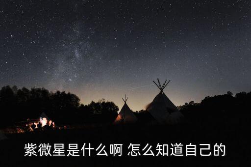 紫微星是什么啊 怎么知道自己的
