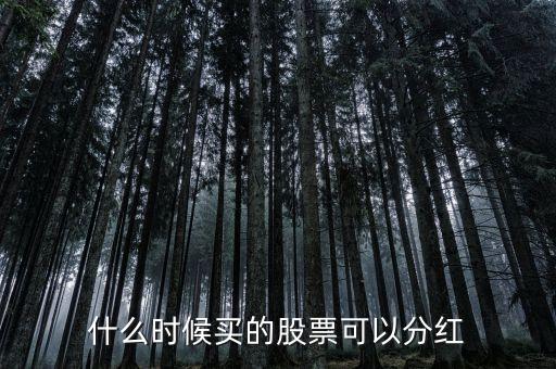買股票什么時候分紅，什么時候買的股票可以分紅