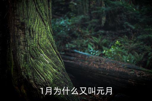 為什么1月又稱元月，為什么1月又叫元月
