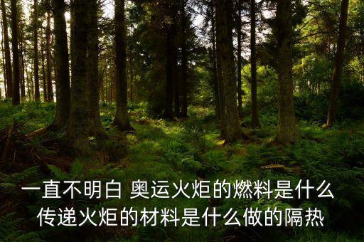 sz燃料是什么，一直不明白 奧運(yùn)火炬的燃料是什么 傳遞火炬的材料是什么做的隔熱