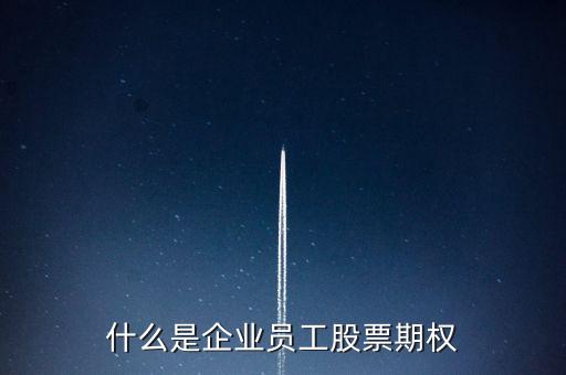 什么是企業(yè)員工股票期權(quán)