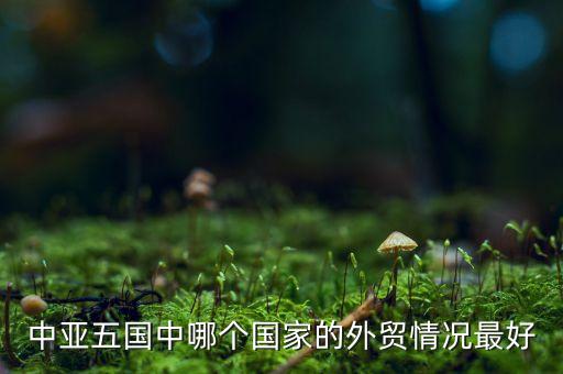 給中亞國家出口什么，新疆主要出口什么出口國大概有哪些有沒有走深圳出口的