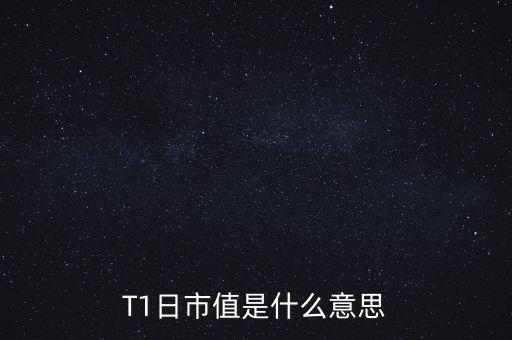 T1日市值是什么意思