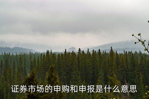金融行業(yè)中的逐日申報(bào)是什么意思，外貿(mào)中到到銀行申報(bào)是什么意思申報(bào)什么呢哪位高人指點(diǎn)一下謝
