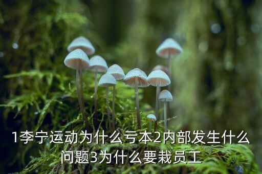 李寧為什么虧損，李寧最近兩年嚴(yán)重虧損的原因是什么
