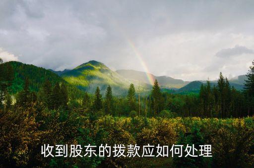股東占款有什么會計處理方法，股份公司占用大股東資金豁免怎么做賬務(wù)處理