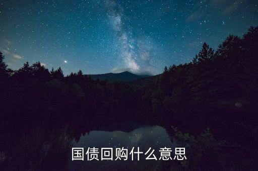 國(guó)債回購(gòu)是什么意思，131801國(guó)債回購(gòu)是什么意思