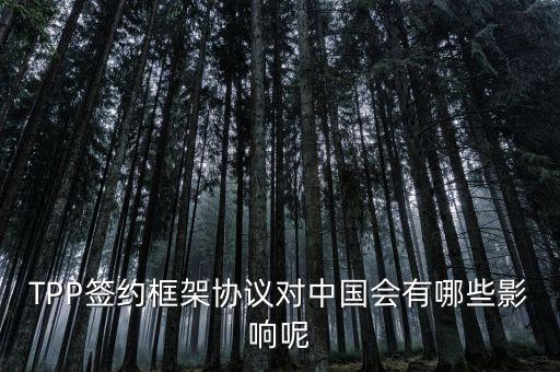 TPP簽約框架協(xié)議對中國會有哪些影響呢
