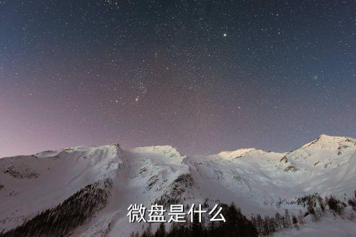 微盤(pán)是什么