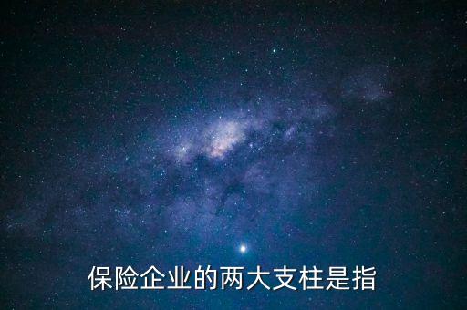 保險(xiǎn)企業(yè)的兩大支柱是指