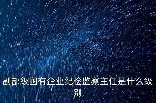 副部級國有企業(yè)紀(jì)檢監(jiān)察主任是什么級別
