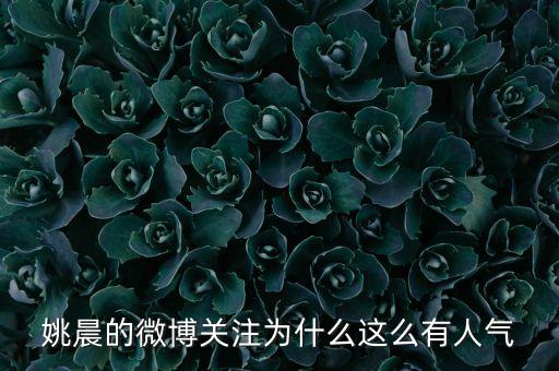 姚晨的微博關(guān)注為什么這么有人氣