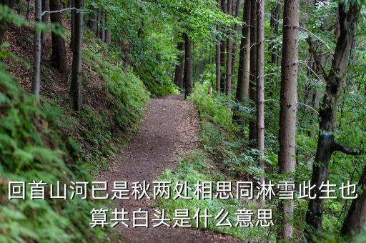 回首山河已是秋兩處相思同淋雪此生也算共白頭是什么意思