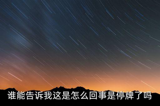 誰能告訴我這是怎么回事是停牌了嗎