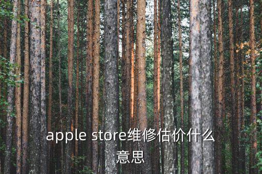 apple store維修估價(jià)什么意思