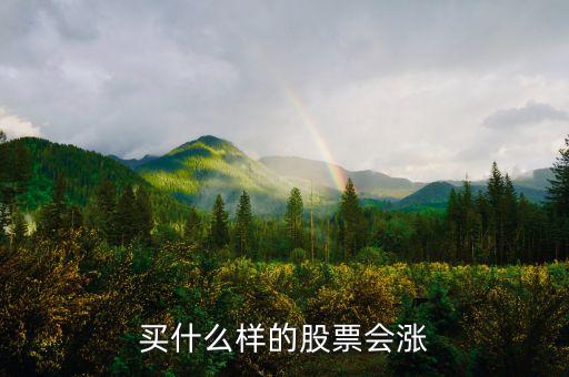 買(mǎi)什么樣的股票會(huì)漲