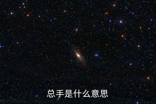 股指期貨總手是什么意思，總手是什么意思
