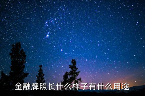 互聯(lián)網(wǎng)金融牌照是什么，互聯(lián)網(wǎng)金融牌照有哪些P2P牌照需要哪些