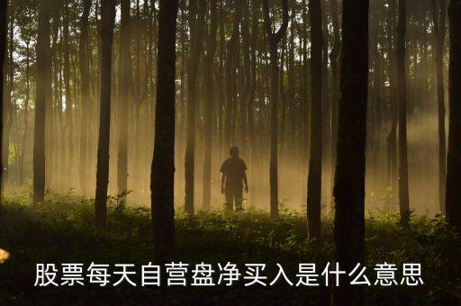 股票每天自營盤凈買入是什么意思