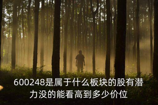600248是屬于什么板塊的股有潛力沒的能看高到多少價(jià)位