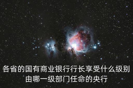 各省的國有商業(yè)銀行行長享受什么級別由哪一級部門任命的央行