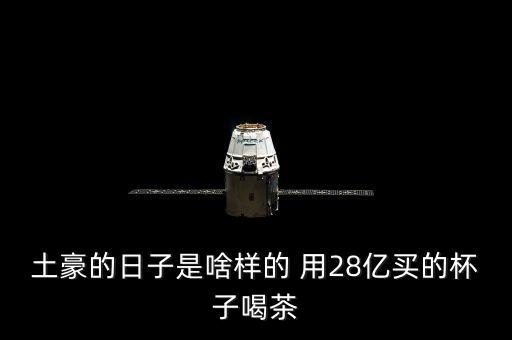 土豪的日子是啥樣的 用28億買的杯子喝茶