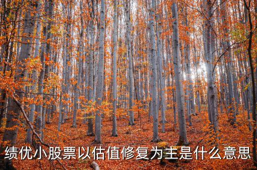 估值修復(fù)什么意思，apple store維修估價(jià)什么意思