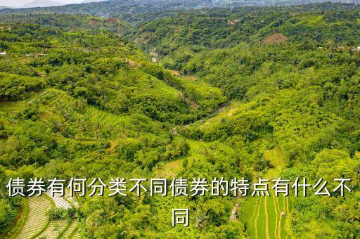 債券分為什么，債券是什么