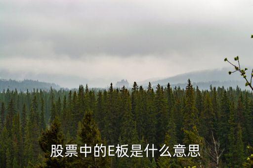 股票中的E板是什么意思