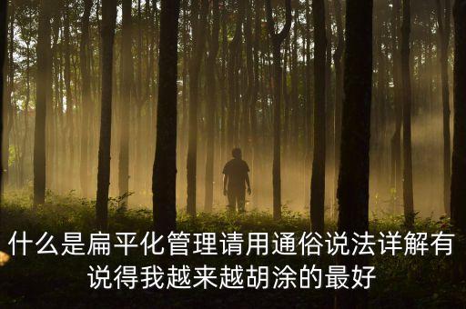 用什么先河，什么是扁平化管理請用通俗說法詳解有說得我越來越胡涂的最好