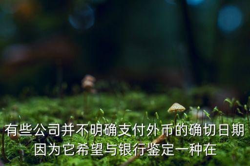 公司什么時(shí)候不對(duì)沖外匯，有些公司并不明確支付外幣的確切日期因?yàn)樗Ｍc銀行鑒定一種在