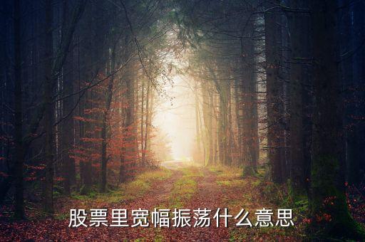 什么叫寬幅震蕩，寬幅幅震蕩是什么意思