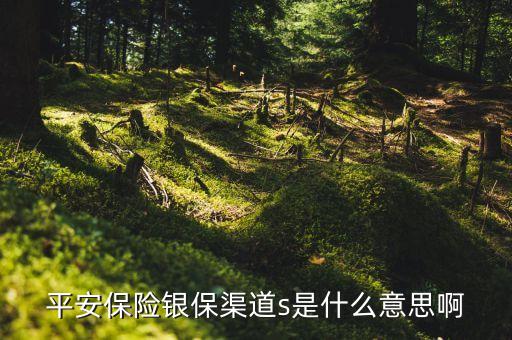 平安保險(xiǎn)銀保渠道s是什么意思啊