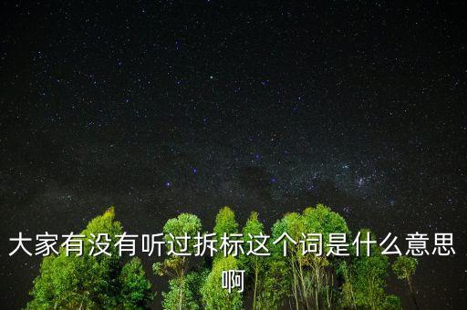 拆標是什么意思，P2P平臺拆標是什么意思