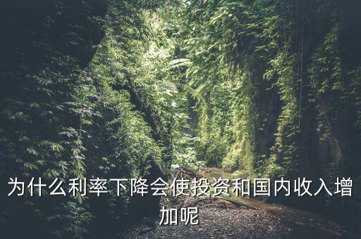 為什么利率下降會使投資和國內(nèi)收入增加呢