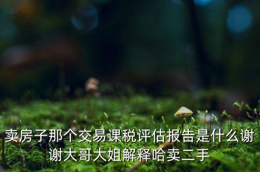 交易課稅是什么意思，名詞解釋證券交易稅