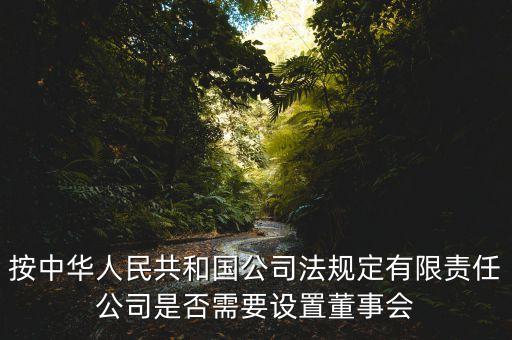 按中華人民共和國公司法規(guī)定有限責(zé)任公司是否需要設(shè)置董事會(huì)