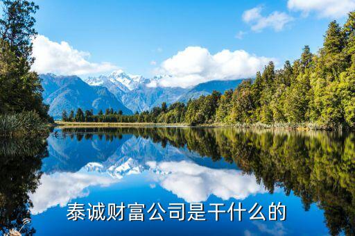 泰誠財富公司是干什么的