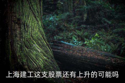 上海建工為什么不漲，上海建工這支股票還有上升的可能嗎