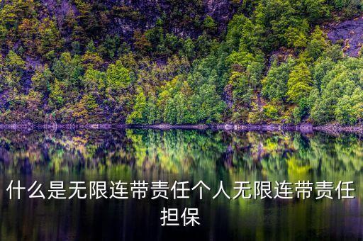 什么是無(wú)限連帶責(zé)任個(gè)人無(wú)限連帶責(zé)任擔(dān)保