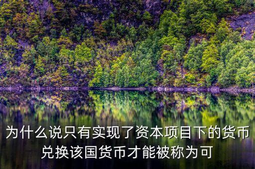 為什么說只有實(shí)現(xiàn)了資本項(xiàng)目下的貨幣兌換該國貨幣才能被稱為可
