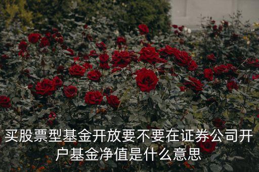 買(mǎi)股票型基金開(kāi)放要不要在證券公司開(kāi)戶基金凈值是什么意思