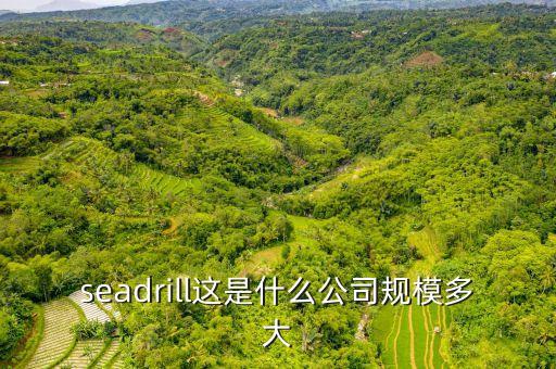 seadrill這是什么公司規(guī)模多大
