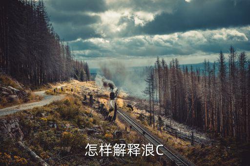 大c浪是什么意思，大a浪和c浪中包含12345個浪還是包含A
