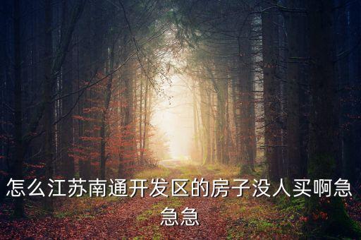 怎么江蘇南通開發(fā)區(qū)的房子沒人買啊急急急