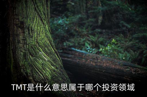 TMT是什么意思屬于哪個投資領(lǐng)域
